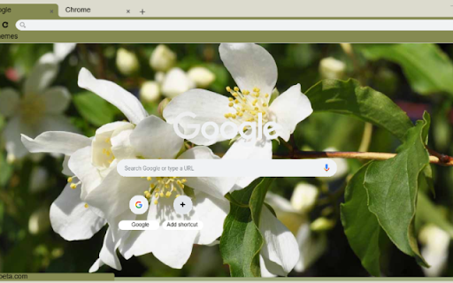 Mock Orange screenshot 1