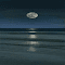 Moonlit night sea wallpaper logo