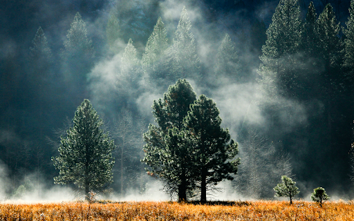 Morning screenshot 1