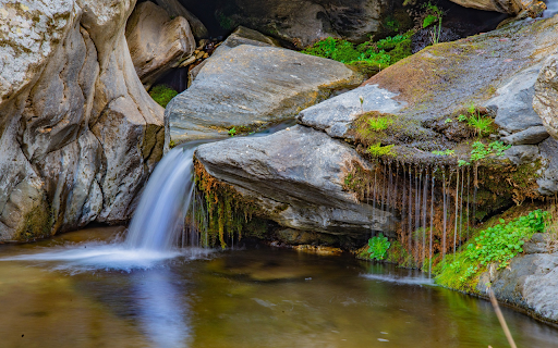 Mossy rock and waterfall screenshot 1