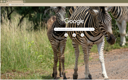 mother zebra and her foal grazing on the savannah screenshot 1