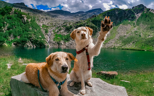 Mountain Adventure Pals screenshot 1