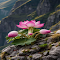 Mountain lotus wallpaper logo