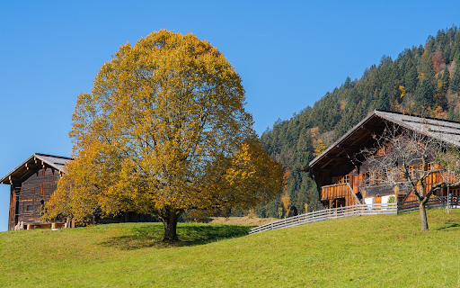 mountain village screenshot 1