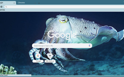 Muc nang screenshot 1