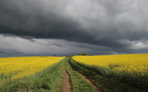 Mustard flower road screenshot 1