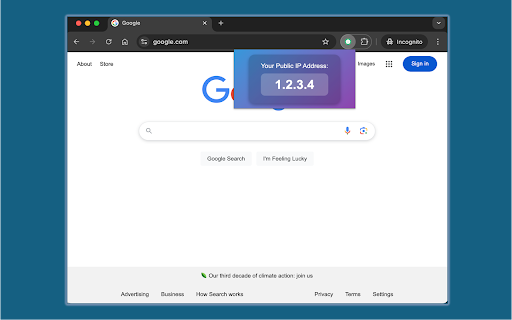 MyIP by Samson.Zone screenshot 1
