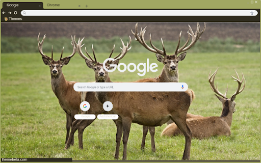 Nai chau Au screenshot 1