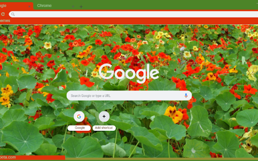 Nasturtium screenshot 1