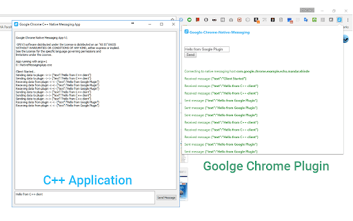 Native Messaging Example screenshot 1