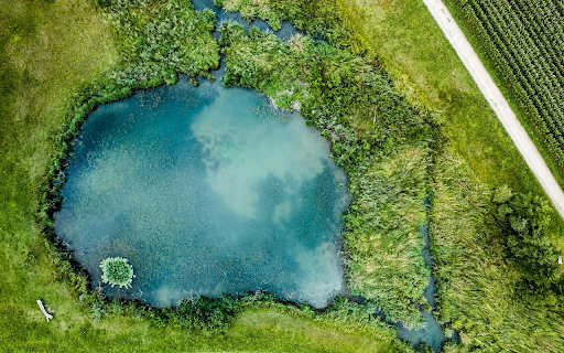 Natural green lake screenshot 1