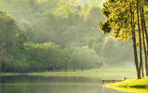 Nature I9 screenshot 1