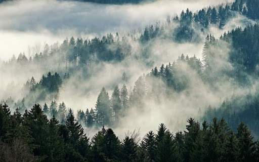 NATURE LANDSCAPETHEME screenshot 1