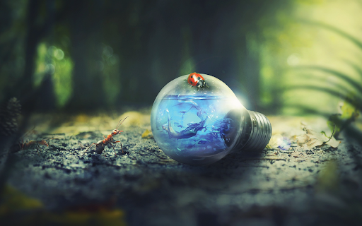 Nature Outdoors screenshot 1