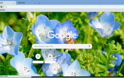 Nemophila screenshot 1