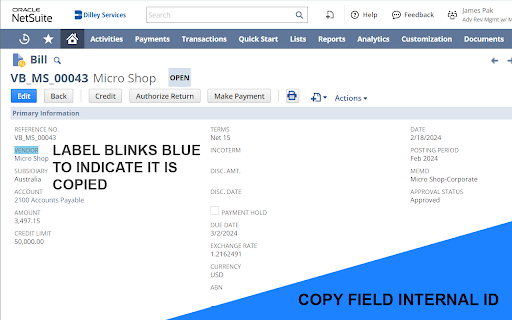 NetSuite Quality of Life Enhancements screenshot 1
