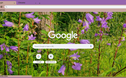 Nettle-leaved Bellflower screenshot 1