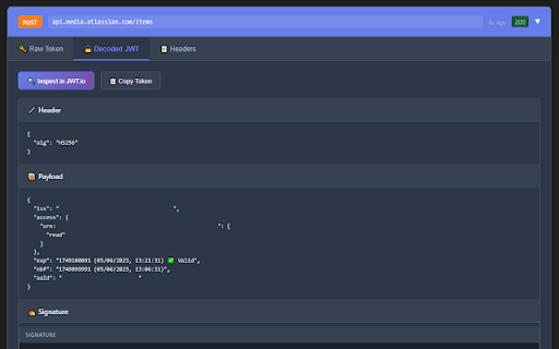 Network Token Inspector screenshot 1