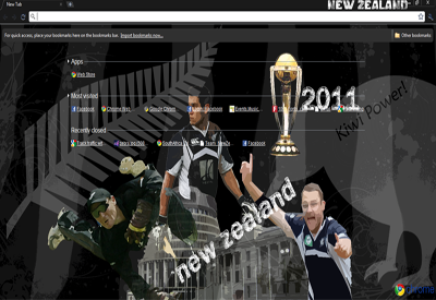 New Zealand Cricket Worldcup 2011 screenshot 1