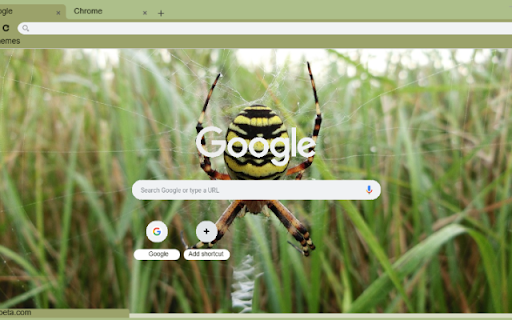 Nhen Dong screenshot 1