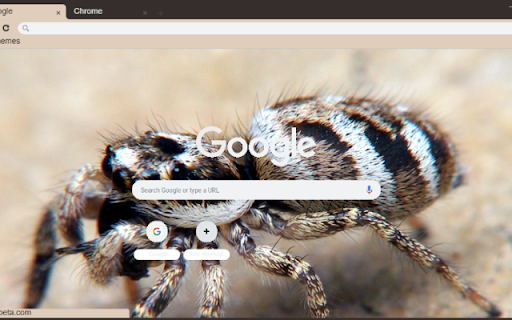 Nhen Nhay screenshot 1