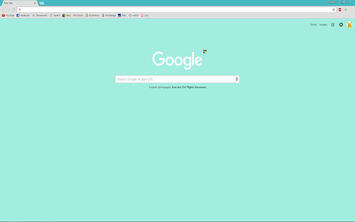 Nice and Simple Mint Theme screenshot 1