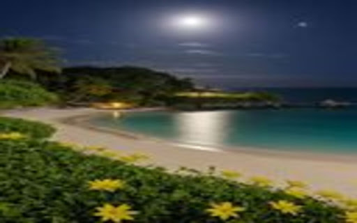 night sea wallpaper screenshot 1