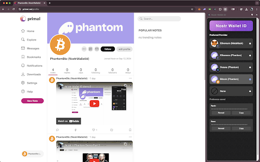 Nostr Wallet ID screenshot 1