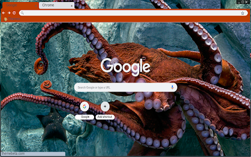 Octopus screenshot 1