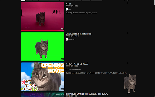 oiia cat screenshot 1