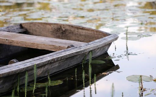 Old boat and moss on the river screenshot 1