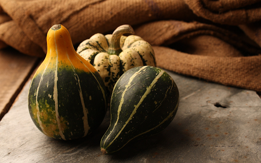 Old Pumpkin screenshot 1