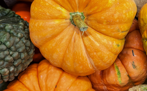 old ripe pumpkins screenshot 1