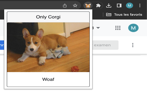 Only corgi screenshot 1