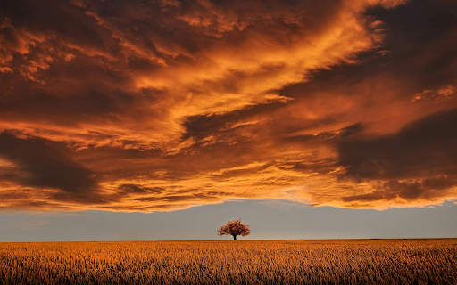 Open Field Under White Clouds and Blue Sky screenshot 1