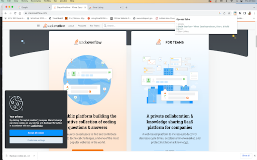 Opened Tabs screenshot 1