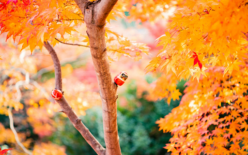 Orange-Leafed Tree screenshot 1