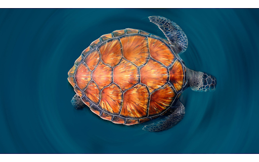 Orange Turtle screenshot 1