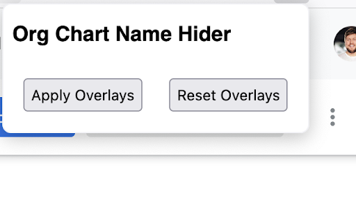 Org Chart Name Hider screenshot 1