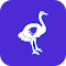 Ostrich : Cashflow Analysis for Zillow logo