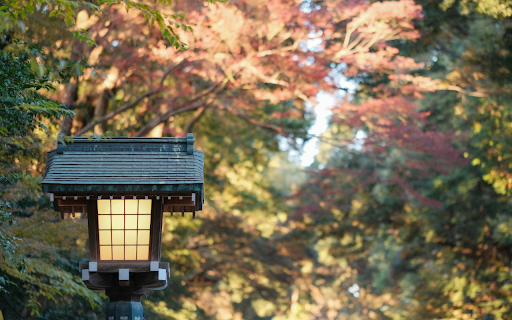 Outdoor Lamp screenshot 1