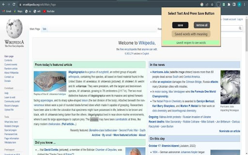ownDictionary screenshot 1