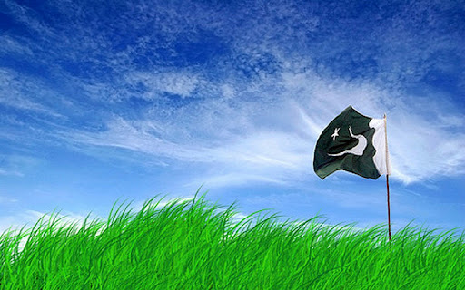 Pakistani Flag screenshot 1