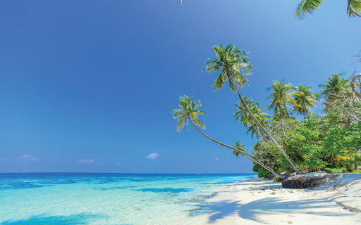 Palm Beach Paradise screenshot 1