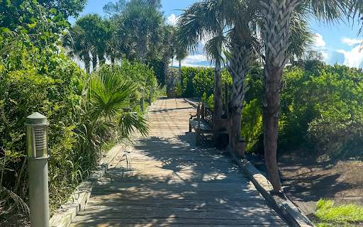 Palm trees on the sea screenshot 1