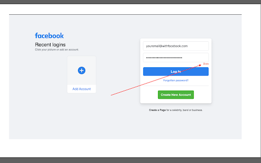 Password Viewer screenshot 1