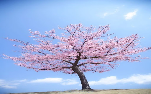 Peach tree temple shape screenshot 1