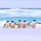 Penguins on the beach Wallpaper logo