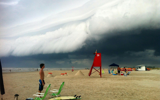 People Enjoying the Day in the Beach screenshot 1