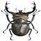 pincer beetle wallpaper logo